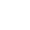 car (1)